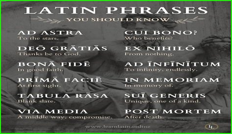 A Profile Of A Latin Beauty