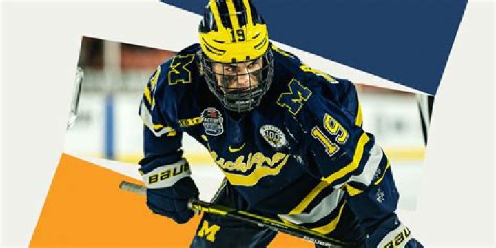A Rising Star In Hockey: Adam Fantilli's Wiki Biography