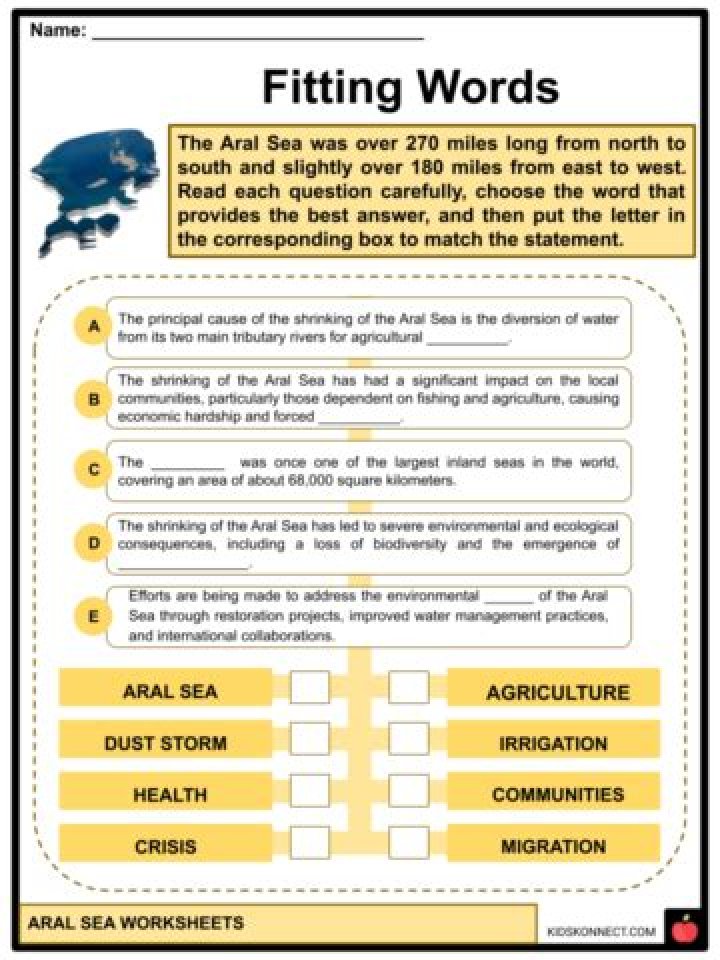 Discoveries And Insights In "Turtle Breakout Reading Plus Answers"