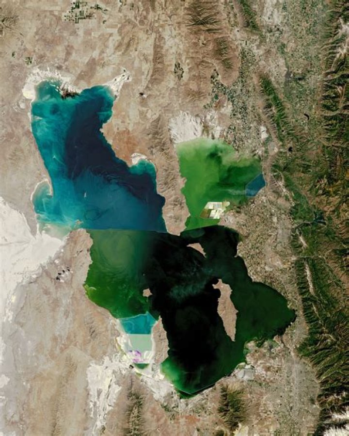 Discoveries And Insights Into Sean Preston, The Salt Lake