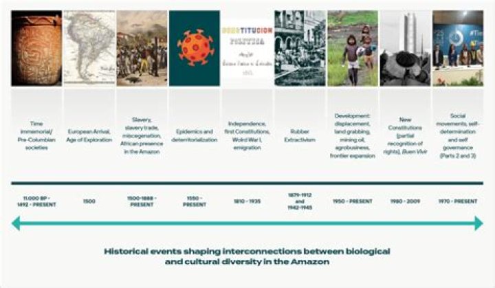 Discoveries, Insights, And Cultural Impact