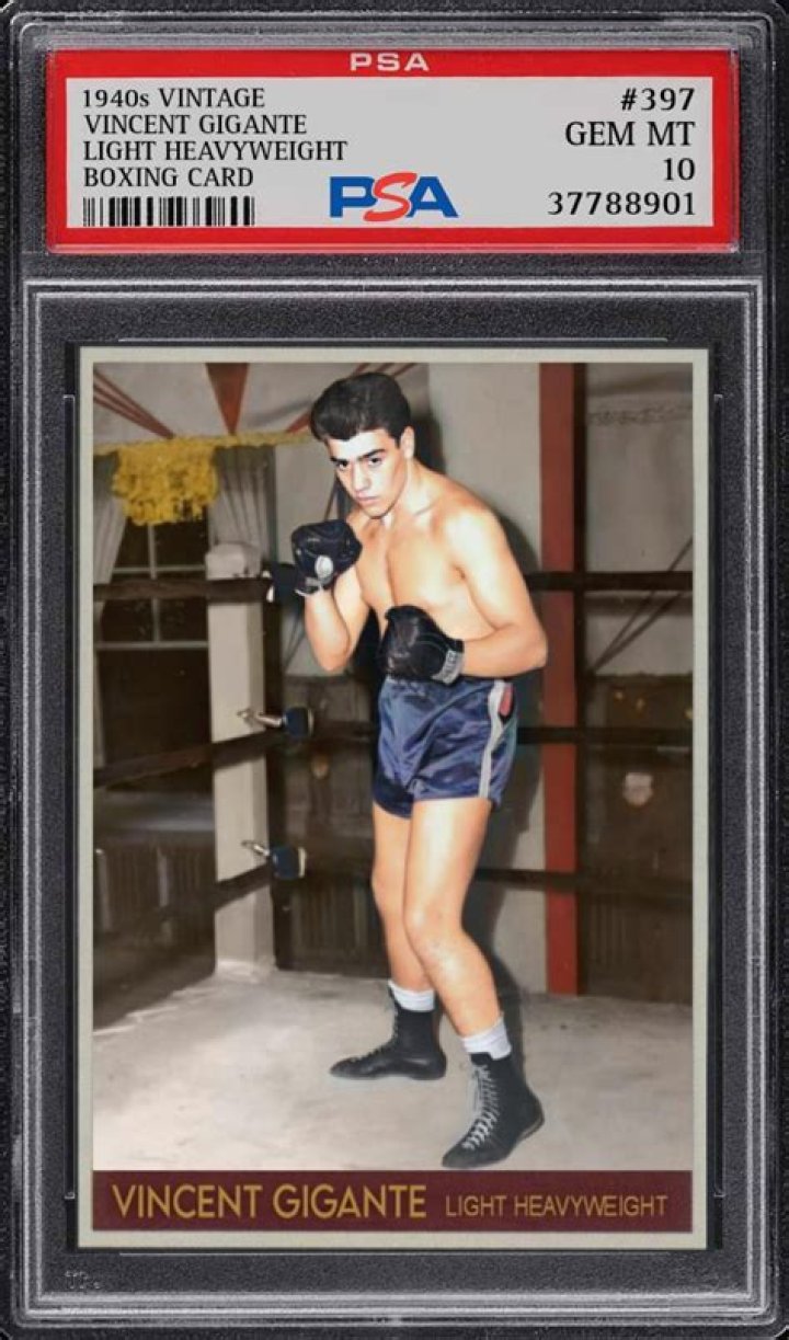 Dive Into The Thrilling World Of Social Media Boxing: Vincent Gigante Vs