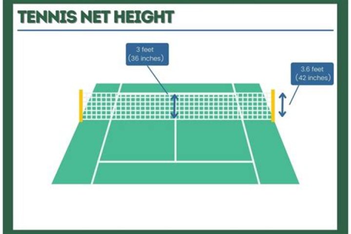 Height And Dominance On The Tennis Court