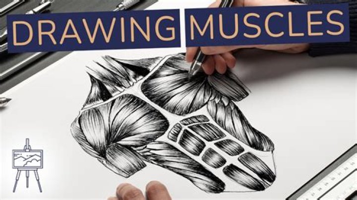 Is Hayes Pullard In The Picture?