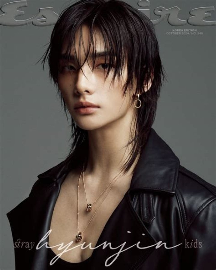 Minho SKZ Bio, Height, Career, Facts, Cats, Profile etc