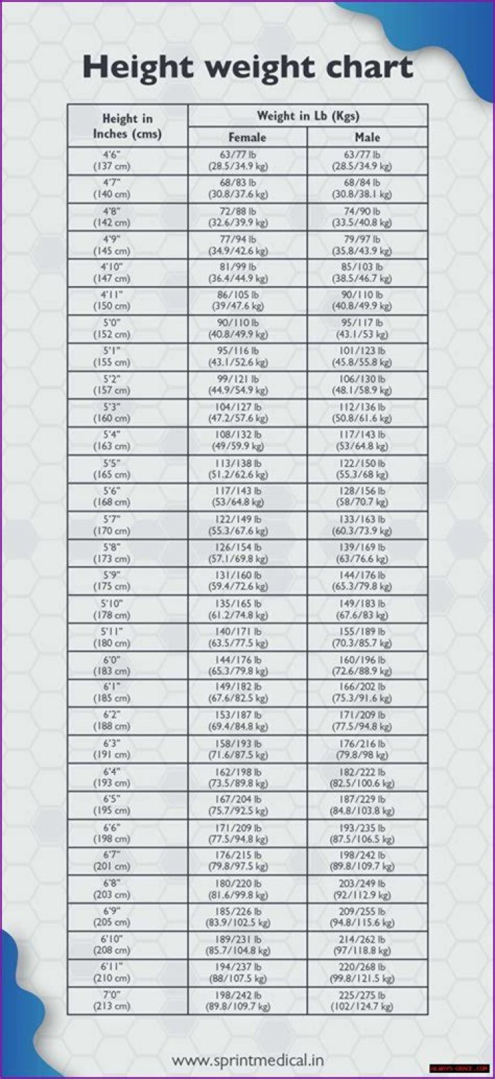 Net Worth, Wiki, Age, Weight, And Beyond