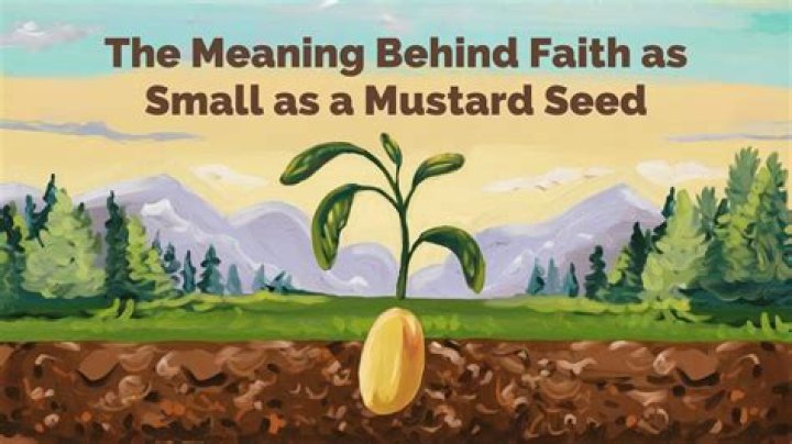 Uncover The Inspiring Story Behind Faith Rein Everything