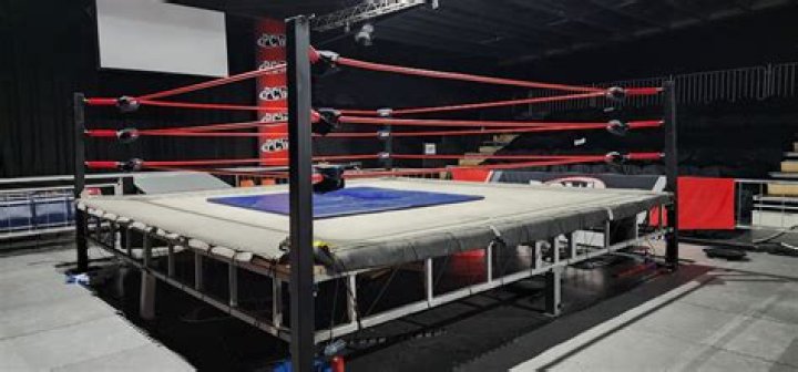 Uncovering The Fortune Of A Wrestling Legend