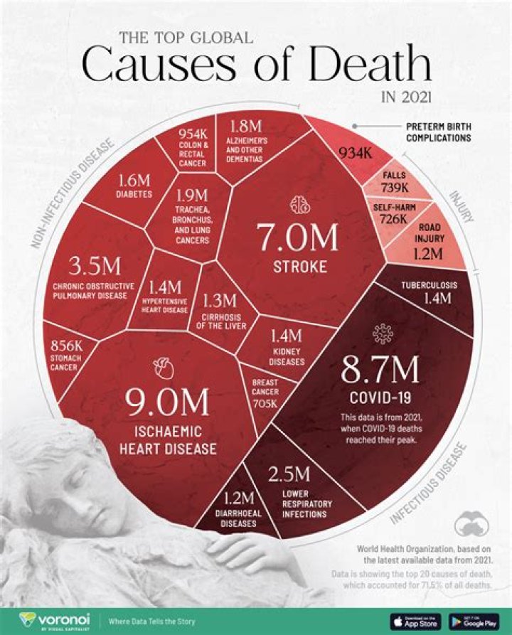 Understanding The Cause Of Death And Its Impact