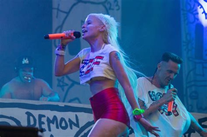 Unveiling The Enigmatic World Of DieAntwoord's Daughter