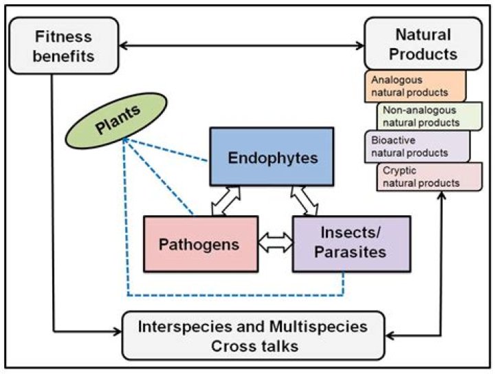 Unveiling The Secrets Of Offset Bio: Discoveries And Insights
