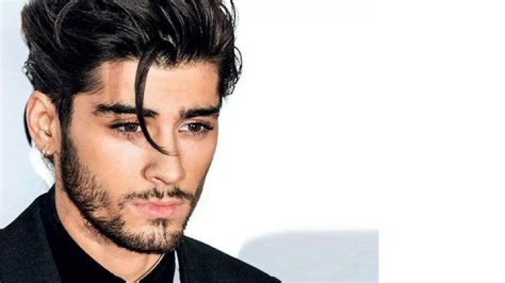 Zayn Malik's Family Members Are No Strangers to the Public Eye